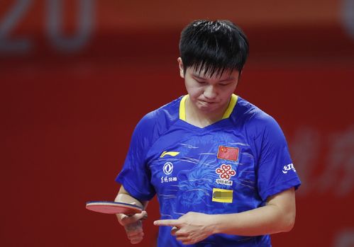 分享运动会 分享运动会