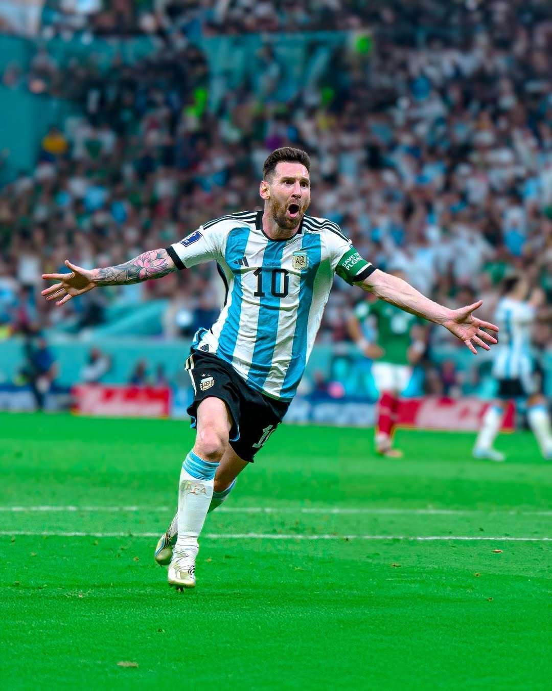 引起人们的 引起人们的