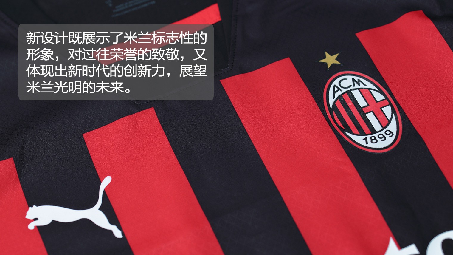 审美一致性 审美一致性