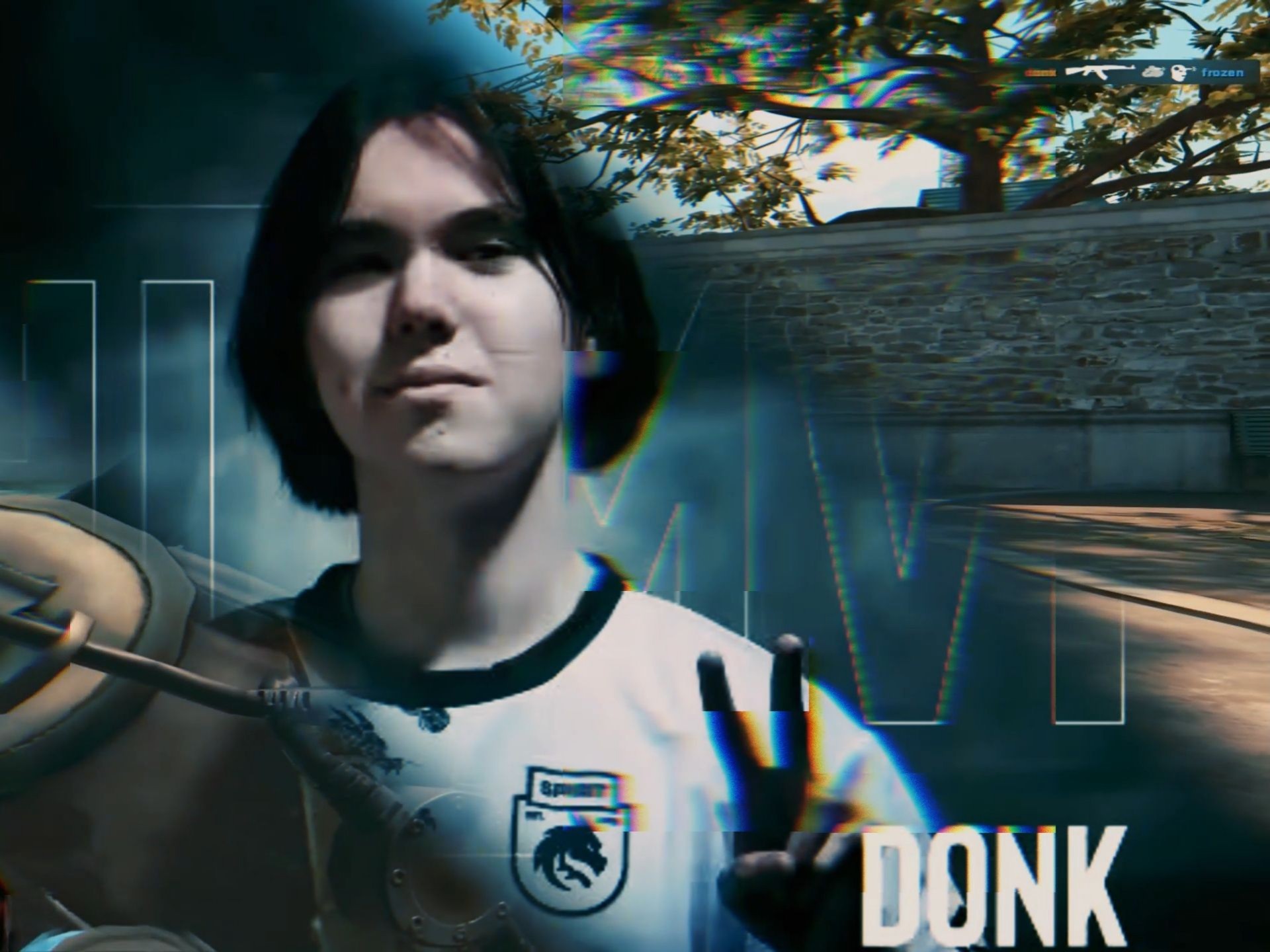 导的介入 导的介入