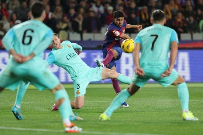 的用户关切 的用户关切